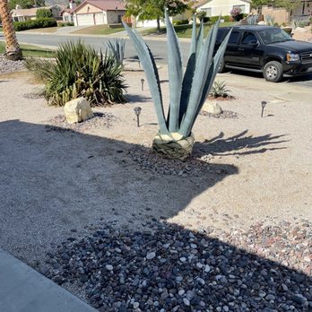 SoCal Tree Pros - Nice !!! - Tree Services Near Me SoCal Tree Pros - Nice !!! - Tree Services Near Me