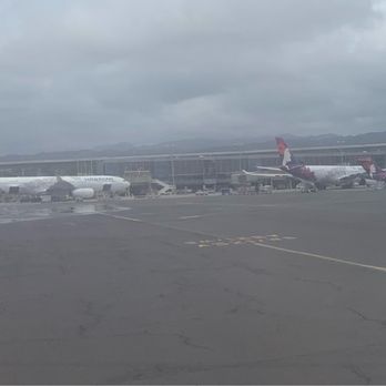 Hawaiian Airlines - Airlines Near Me - San Diego, California Hawaiian Airlines - Airlines Near Me - San Diego, California