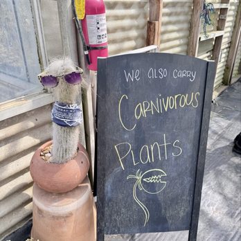 Highway 92 Succulents - Nurseries & Gardening Near Me - Half Moon Bay, California Highway 92 Succulents - Nurseries & Gardening Near Me - Half Moon Bay, California