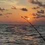 Photo of Hook'em Up Charters