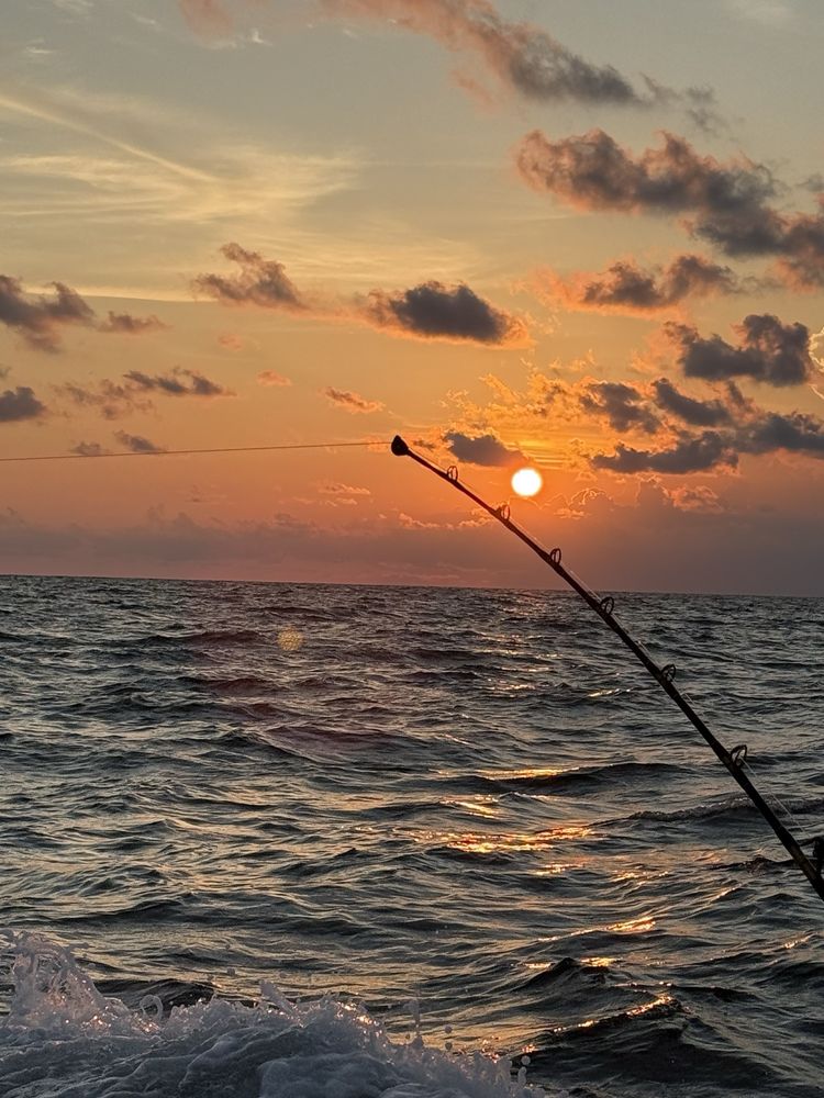Hook'em Up Charters Logo
