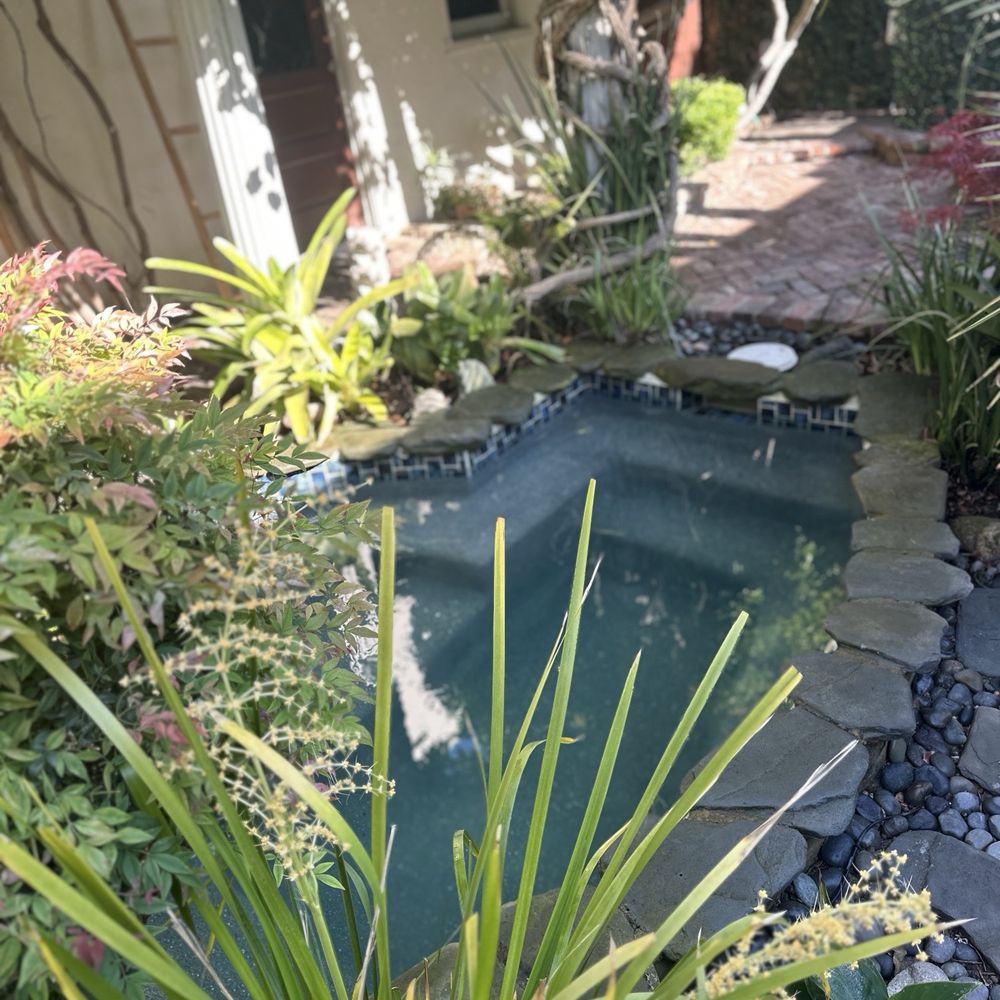 Human Aeon - Naturopathic/Holistic Near Me - Long Beach, California