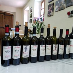 Uccelliera - Ten of the 11 wines included in our wine tasting session. Wonderful, relaxing experience.