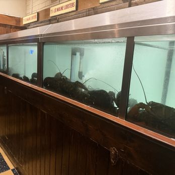 Shaw's Crab House - Seafood Near Me - Chicago, Illinois Shaw's Crab House - Seafood Near Me - Chicago, Illinois