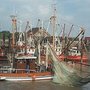Photo of Hafenfest