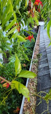 Gutter Cleaning - Maintain your gutters to ensure rainwater drains properly to prevent damage to the interior and exterior of your home. Regular maintenance is important to clear gutter blockage, yearly cleanings recommended.