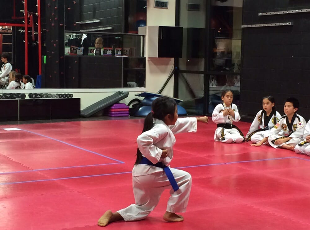 Brian Hamlet's American Taekwondo Academy Logo