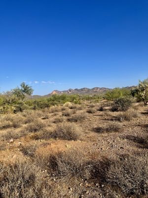 Lost Dutchman State Park by null