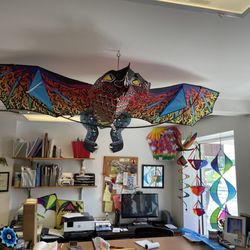 Kites & Fun Things - Flying dragon