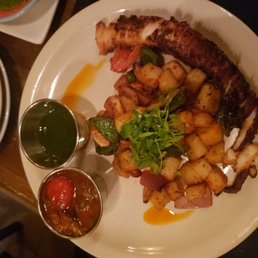 Octopus