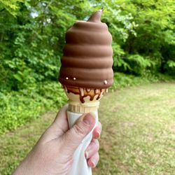 The Ice Cream Shoppe - My favorite still, Chocolate Dipped Chocolate Soft Serve. Worth every lick and drip.