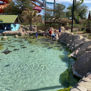 Aquatica San Antonio - Water Parks Near Me - San Antonio, Texas Aquatica San Antonio - Water Parks Near Me - San Antonio, Texas