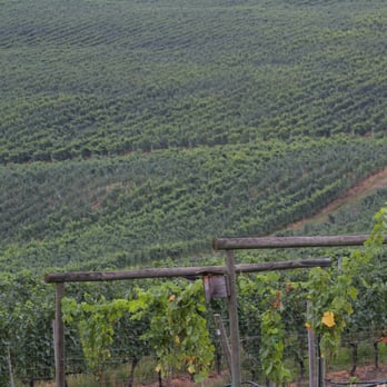 See Ya Later Ranch - Wineries Near Me - Okanagan Falls, British Columbia