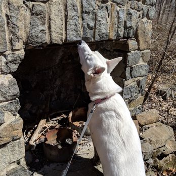 Baldpate Mountain - Seeing if anyone left any food cooking - Hiking Near Me - Hopewell Township, New Jersey Baldpate Mountain - Seeing if anyone left any food cooking - Hiking Near Me - Hopewell Township, New Jersey