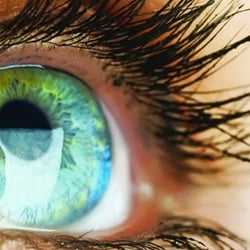 Goel Vision - Sonny Goel, MD | Towson, MD