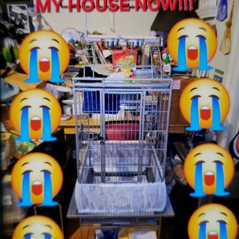 PetSmart - My Birds Empty Cage In My House That Makes Cry My Eyes Out Everyday, Because I Miss My Bird So Much. My Husband Misses Him So Much Too. - Pet Training Near Me - Los Angeles, California PetSmart - My Birds Empty Cage In My House That Makes Cry My Eyes Out Everyday, Because I Miss My Bird So Much. My Husband Misses Him So Much Too. - Pet Training Near Me - Los Angeles, California
