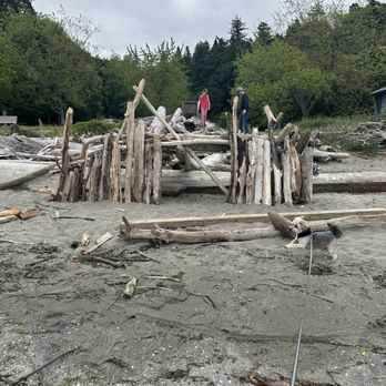Saltwater State Park - Parks Near Me - Des Moines, Washington Saltwater State Park - Parks Near Me - Des Moines, Washington