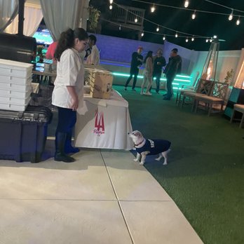 La Pizzeria - My dog was waiting in line - Caterers Near Me La Pizzeria - My dog was waiting in line - Caterers Near Me