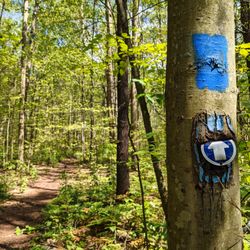 Joker's Hill Hiking Trail - The trail is well marked