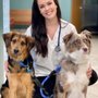 Photo of Veterinary Center Of East Northport LLC