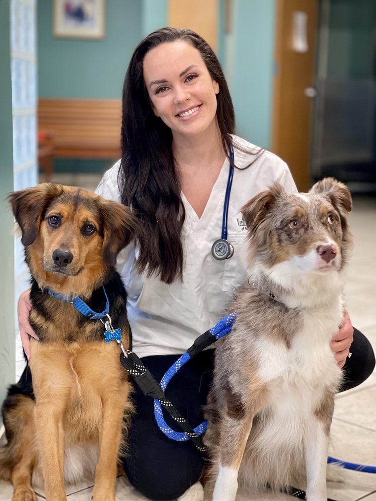 VETERINARY CENTER OF EAST NORTHPORT LLC Updated October 2024 15