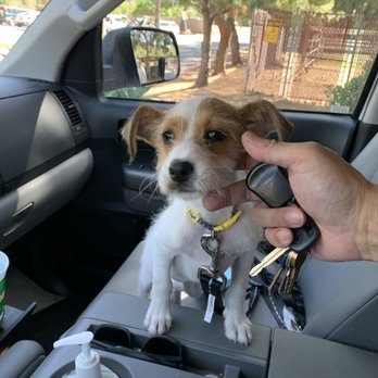San Diego Humane Society - Pepper going home - Animal Shelters Near Me - Oceanside, California San Diego Humane Society - Pepper going home - Animal Shelters Near Me - Oceanside, California