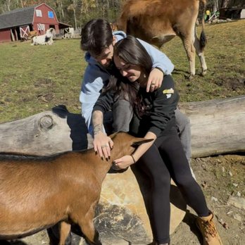 Noble Heart Sanctuary - Attraction Farms Near Me - New Marlborough, Massachusetts Noble Heart Sanctuary - Attraction Farms Near Me - New Marlborough, Massachusetts