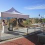 Photo of Belen de Arena