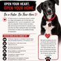 Photo of PawSafe Animal Rescue