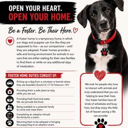 PawSafe Animal Rescue - Foster and save a life!