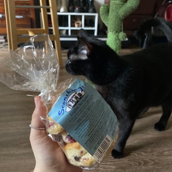 Sconehenge Bakery & Cafe - The mixed berry scones and Charlie my cat - Bakeries Near Me - Berkeley, California Sconehenge Bakery & Cafe - The mixed berry scones and Charlie my cat - Bakeries Near Me - Berkeley, California