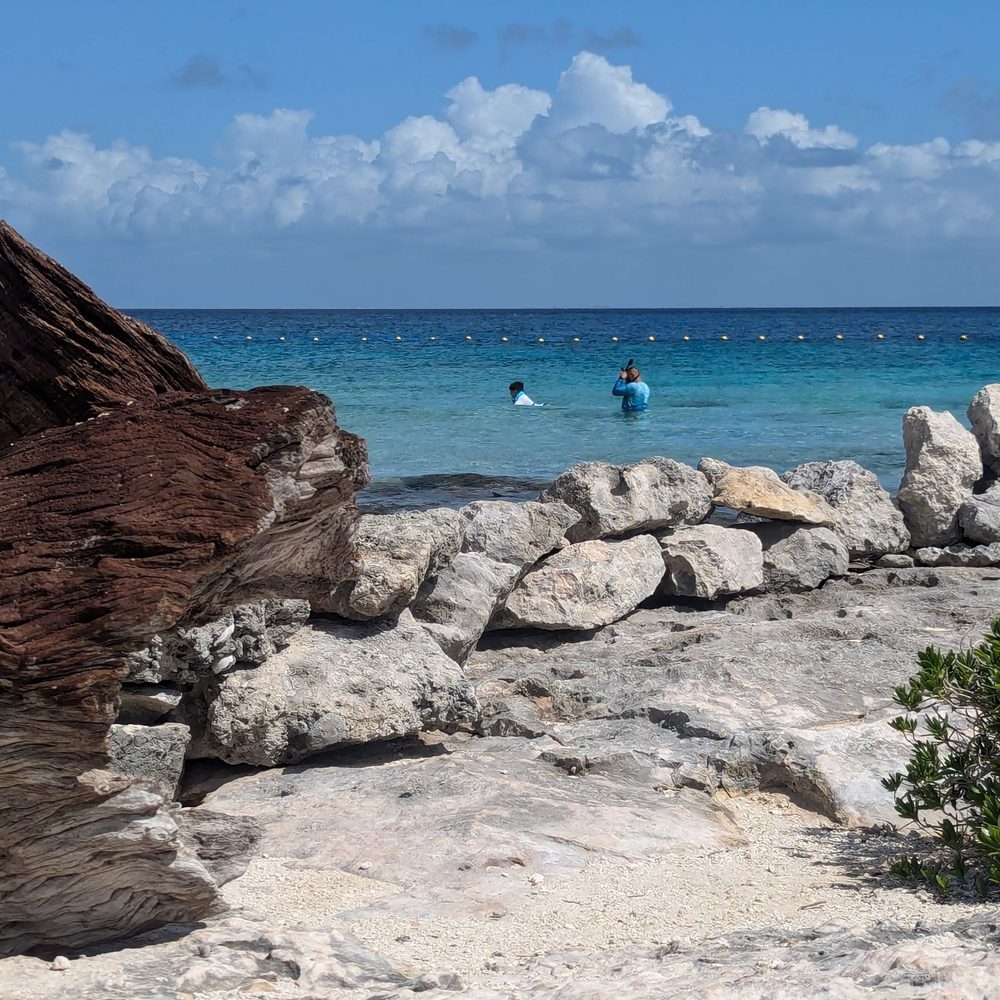 Sky Reef - Mexican Near Me - Cozumel, ROO
