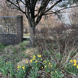 Little Bay Park - It's Spring??
