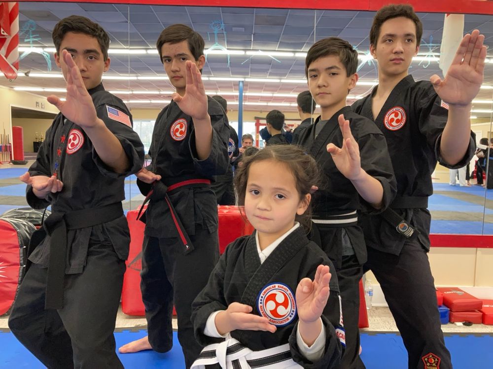 Sidekick Karate Logo