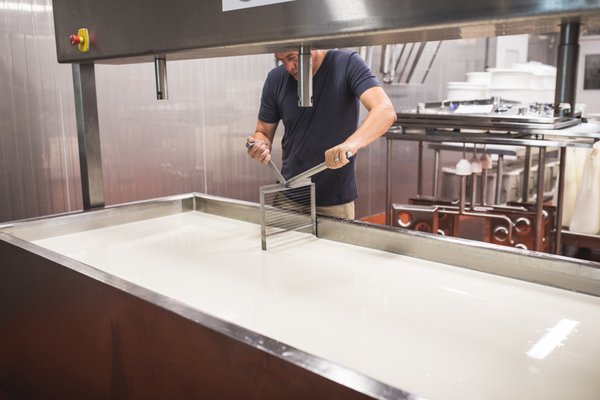 Urban Stead Cheese by null