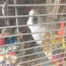 This is Powder' always greets you when you come in the store. This is Powder' always greets you when you come in the store.
