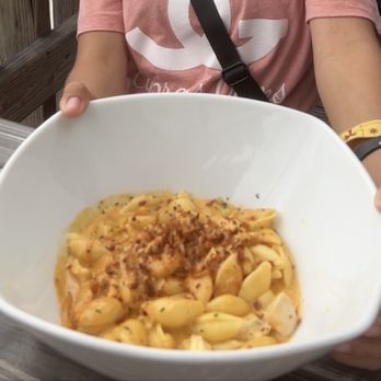 Coconuts - Cajun pasta w/chicken - Seafood Near Me - Fort Lauderdale, Florida Coconuts - Cajun pasta w/chicken - Seafood Near Me - Fort Lauderdale, Florida