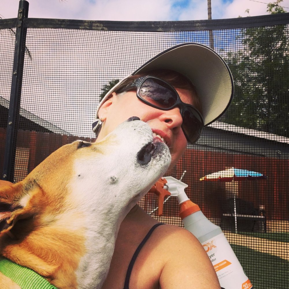 Jackson loves Lisa, the owner of Newbury Bark! Jackson loves Lisa, the owner of Newbury Bark!
