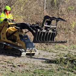 Willys Tree Service and Landscaping