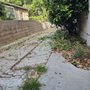 Photo of Liam Green Gardens