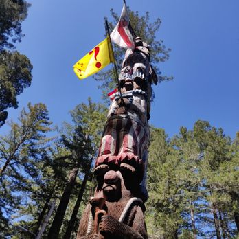 Confusion Hill - Top of the carving - Amusement Parks Near Me - Piercy, California
