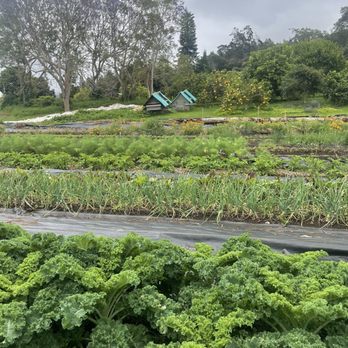 O'o Farms - Food Tours Near Me - Kula, Hawaii