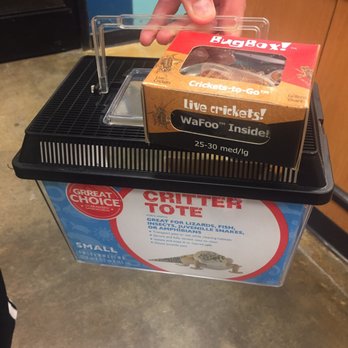 PetSmart - Crickets and tote - Pet Stores Near Me - Huntington Beach, California