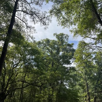 River Reader Kayaking - Rafting/Kayaking Near Me