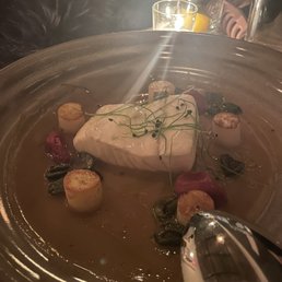 Halibut Halibut