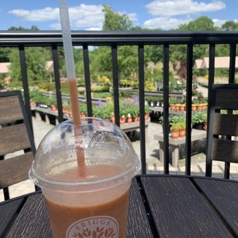 Briggs Nursery and Cafe - Outdoor patio - Coffee & Tea Near Me - North Attleborough, Massachusetts