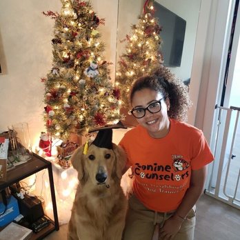 Canine Counselors - Pet Training Near Me - Miami, Florida Canine Counselors - Pet Training Near Me - Miami, Florida