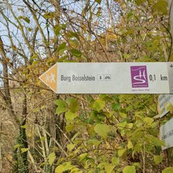 Burgruine Bosselstein - Richtungsschild