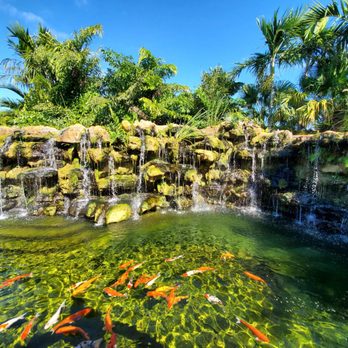 By Brothers - Fruits & Veggies Near Me - Miami, Florida By Brothers - Fruits & Veggies Near Me - Miami, Florida