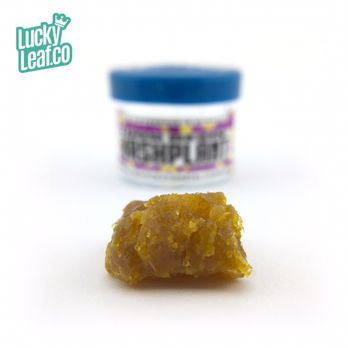 Lucky Leaf - Hashplant Loudresin - Cannabis Dispensaries Near Me - Spokane, Washington Lucky Leaf - Hashplant Loudresin - Cannabis Dispensaries Near Me - Spokane, Washington